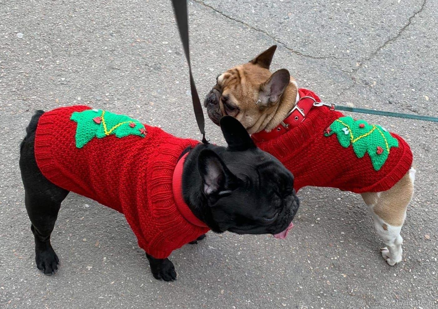 Новогодний Свитер Для Собаки Новогодний Свитер Для Собаки