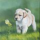 Oil Painting on Canvas “Curious Puppy”, Pictures, St. Petersburg,  Фото №1