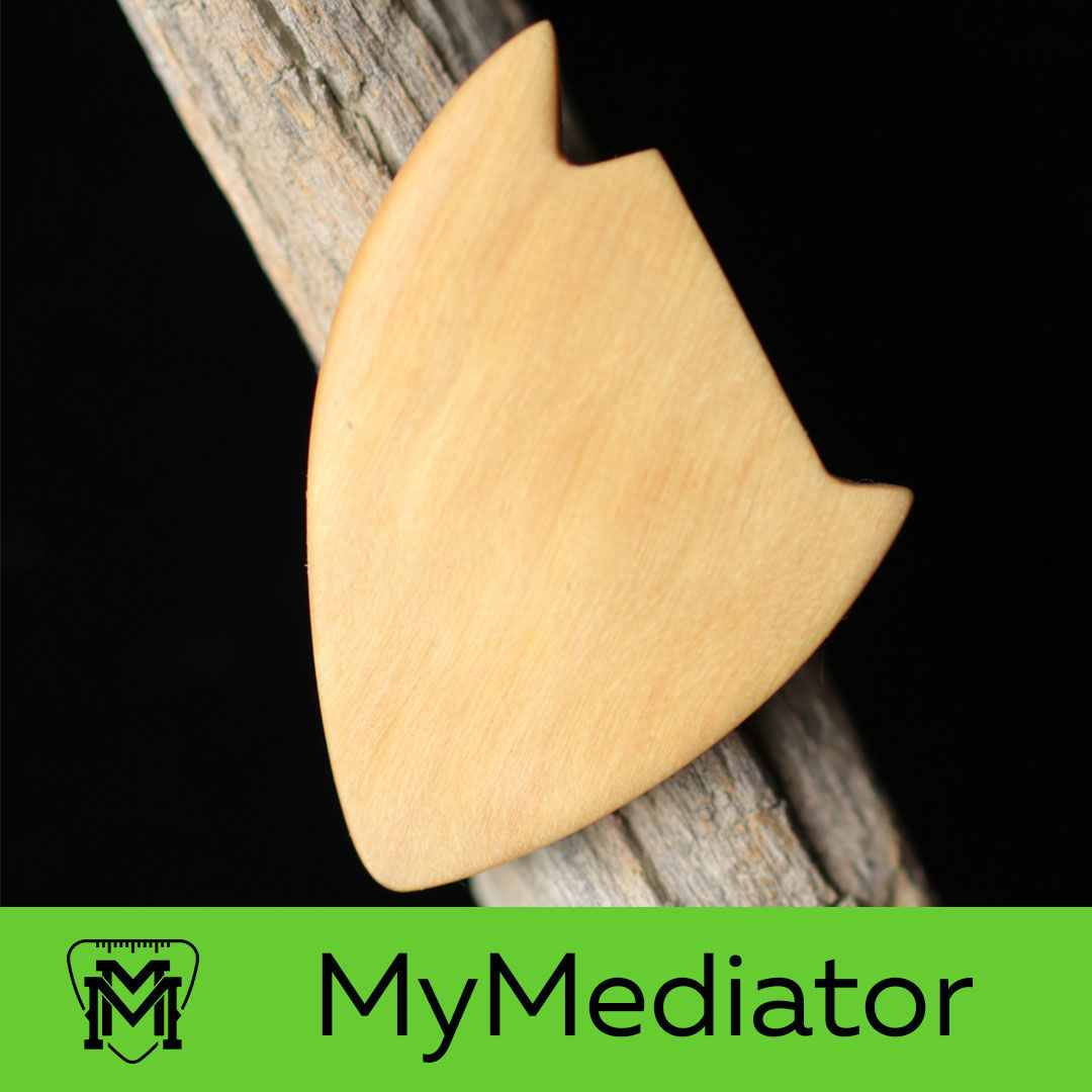 The rounded shape of the profile of the mediator allows you to slide across the strings faster due to the drop-down form. At the request of the mediator can make a pendant.
