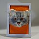 The portrait of the cat, Photo frames, Orenburg,  Фото №1