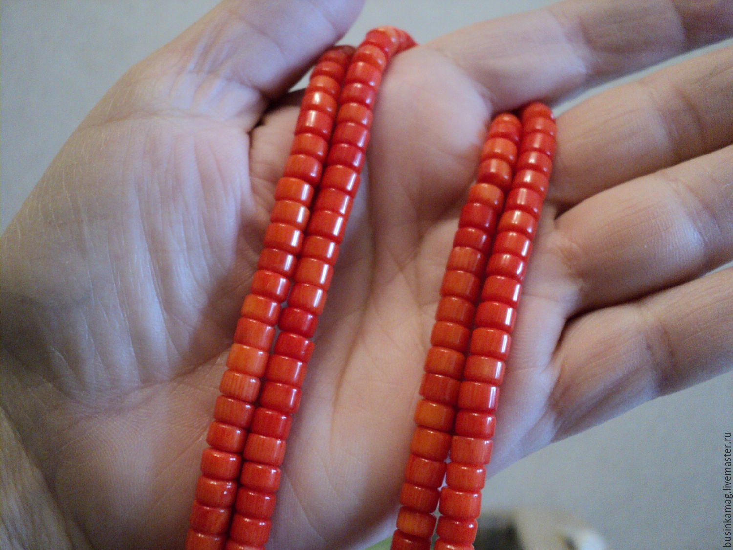 Coral beads roundels, 6mm, 10pcs 