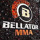 Заказать Эмблема Bellator логотип мма сувенир из янтаря 10800031. Балтамбер (Янтарь Балтики) (baltamber). Ярмарка Мастеров. . Картины Фото №3