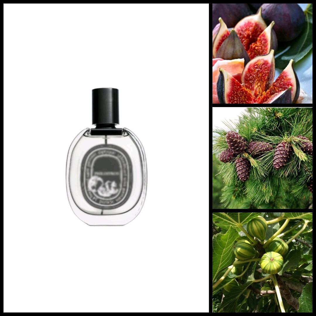 Духи Филосикос в стиле Diptyque — Philosykos Eau de Parfum unisex купить в  интернет-магазине Ярмарка Мастеров по цене 300 ₽ – RNX2ARU | Духи, Москва -  доставка по России