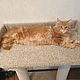 Rascador estable con cama para gato grande. Pedir. Scratching Post. Workshop for dogs and cats. Online shopping on My Livemaster.  Фото №2