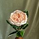 Роза из полимерной глины, Цветы, Обнинск,  Фото №1