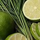 Lemongrass and Lime (Лемонграсс и лайм) CandleScience, Ароматизаторы, Самара,  Фото №1