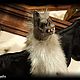 Grey Vampire Bat mobile sculpture. Interior doll. Zlata's fantasy dolls. My Livemaster. Фото №5