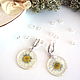 Earrings with Real Daisies White Yellow Green Transparent. Earrings. WonderLand. Online shopping on My Livemaster.  Фото №2