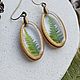 Earrings wood frame with real fern. Earrings. OrlovaResinJewelry. Online shopping on My Livemaster.  Фото №2