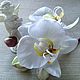 Заказать Орхидеи белые 'Фаленопсис цветы из шелка брошь заколка. Евгения 'HAT TIME' шляпы и цветы. Ярмарка Мастеров. . Цветы Фото №3