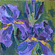  Irises, Pictures, Moscow,  Фото №1