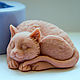 Silicone mold for soap 'cat 2 3D', Form, Shahty,  Фото №1