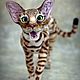 Copy of Copy of Copy of Copy of Copy of Cat Mystical Mystery. Stuffed Toys. klemabears. My Livemaster. Фото №4