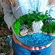 Моссариум с водоемом (Композиция из стабилизированных растений), Стабилизированный мох, Краснодар,  Фото №1