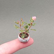 Мини тюльпаны из полимерной глины