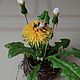 Bouquet ' Fluffy bumblebee', Composition, Moscow,  Фото №1
