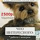 Живая собачка, Мастер-классы, Санкт-Петербург,  Фото №1