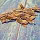 Plumeria seeds / Frangipani. Seeds, seedlings. ekaterina-vz5. Online shopping on My Livemaster.  Фото №2
