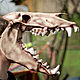 Маска череп вендиго с большими зубами. Карнавальные маски. Чё по черепам. Интернет-магазин Ярмарка Мастеров.  Фото №2
