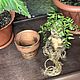 Корень Мандрагоры в горшке / Mandrake Root. Интерьерная кукла. ToyaToys. Интернет-магазин Ярмарка Мастеров.  Фото №2