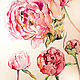 Peonies Tenderness - painting watercolor. Pictures. illustravel. Online shopping on My Livemaster.  Фото №2