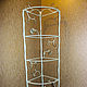 Forged rack (bookshelf). Shelves. Artistic forging Nemkova. Online shopping on My Livemaster.  Фото №2