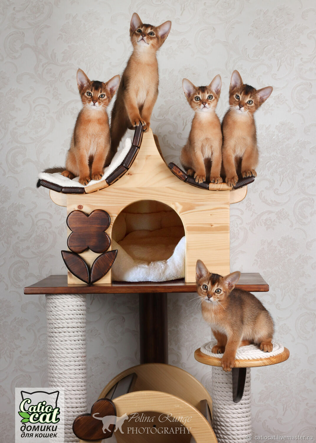 Мебель для кошек: какая бывает и как выбрать?