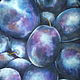 Oil painting of Plums, still life with Fruit on canvas Space plums, Pictures, Moscow,  Фото №1