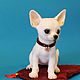 Chihuahua'Daphne'. Stuffed Toys. Anna Petinati- Live toys handmade. Online shopping on My Livemaster.  Фото №2