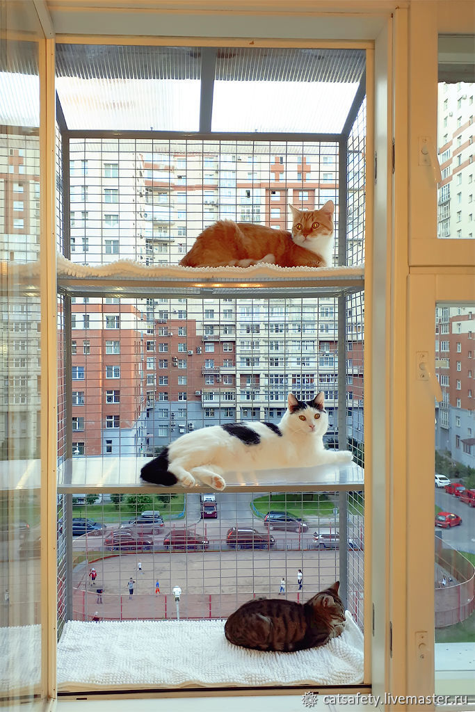 Балкон для кошек купить. Клетка антикошка. Клетка антикошка для кошек. Клетка антикошка для кошек на окно. Балкончик антикошка.