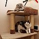 Order High house for cats to buy. Fits a large cat. Workshop for dogs and cats. Livemaster. . Scratching Post Фото №3