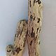 Коряги дрифтвуд driftwood 2 шт, Природные материалы, Горячий Ключ,  Фото №1