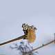 Golden ring-twig ' Juno'. Rings. Unusual Gemstone Jewelry. My Livemaster. Фото №5