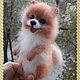 Toys: Spitz wool, Felted Toy, Orsk,  Фото №1