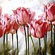 ' Tulipanes de color rosa ', Pictures, St. Petersburg,  Фото №1