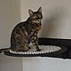 Hammock wicker round ' cat's dream', Pet Hammock, Pleasant,  Фото №1