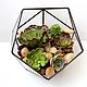 Order The Floriana with artificial succulents. Artificial plants. Glass Flowers. Livemaster. . Plants Фото №3