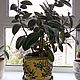 Flower pot Olive branch. Pots. Elena Zaychenko - Lenzay Ceramics. Online shopping on My Livemaster.  Фото №2
