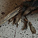 Погремушка из черепа лисицы. Дух-помощник. MADRE ARCAICA. Ярмарка Мастеров.  Фото №4