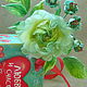 Silk flowers rose brooch free shipping 'Mint freshness'. Brooches. LIUDMILA SKRYDLOVA (flower glade). Online shopping on My Livemaster.  Фото №2
