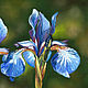 Order  flowers Irises. Original. Pastel. Valeria Akulova ART. Livemaster. . Pictures Фото №3