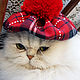 "Шотландец" выставочный костюм для кошки. Pet clothes. Animal-Style. Online shopping on My Livemaster.  Фото №2