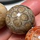 Коралл хризантема натуральный окаменелый ШИКАРНЫЕ бусины 18-19 мм. Бусины. СОТВОРИ • камни • бусины • фурнитура. Ярмарка Мастеров.  Фото №4