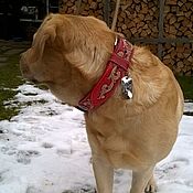 Зоотовары handmade. Livemaster - original item The dog collar leather, personalized dog collar, leather collar. Handmade.
