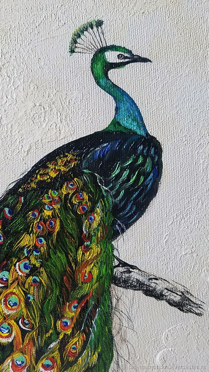 Картина маслом Павлин птица счастья – заказать на Ярмарке Мастеров ...