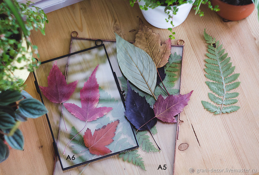 Подвесная стеклянная фоторамка для гербария и сухоцветов формата А5 в .