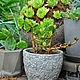 Order Round small concrete pot Provence Openwork series. Decor concrete Azov Garden. Livemaster. . Pots1 Фото №3