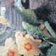 Винтаж: 83. тарелка номерная заяц  HIDING IN THE PRIMROSES ROYAL DOULTON. Тарелки декоративные винтажные. ФАРФОР И ПОСУДА ИЗ ЕВРОПЫ (posudaifarfor). Ярмарка Мастеров.  Фото №4