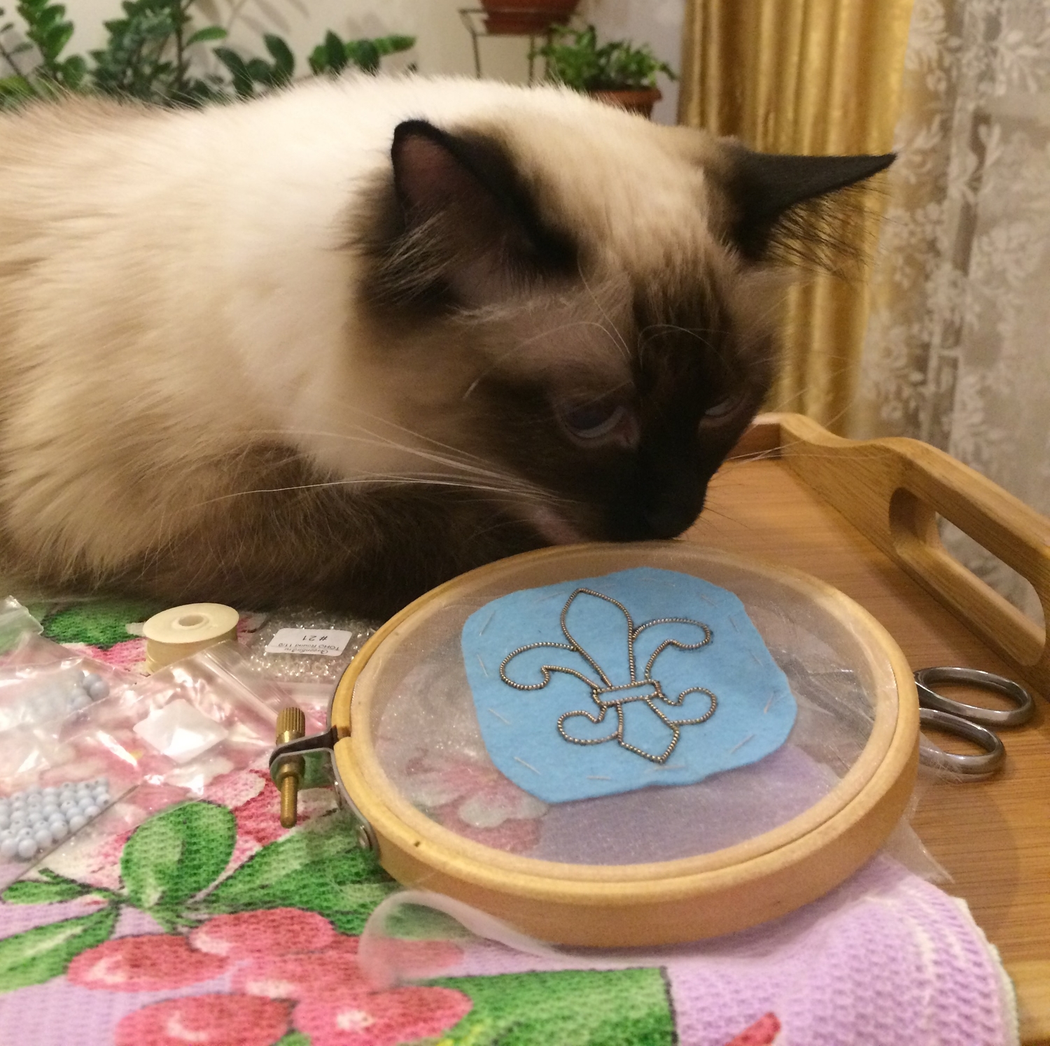 Приставака и помощница...