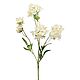 Japanese white chrysanthemum 69 cm. Plants. best-coll-mos. Online shopping on My Livemaster.  Фото №2